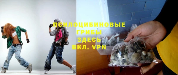 spice Белокуриха