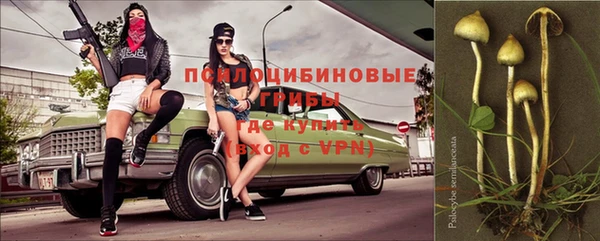 spice Белокуриха