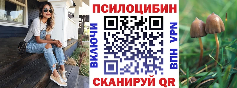 мега маркетплейс  Губкинский  Псилоцибиновые грибы Psilocybine cubensis 